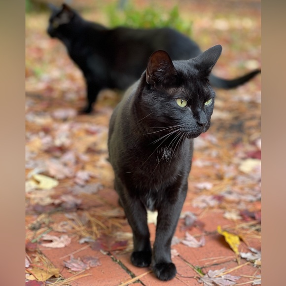 Meet your Posher, Jen - Picture 14 of 14